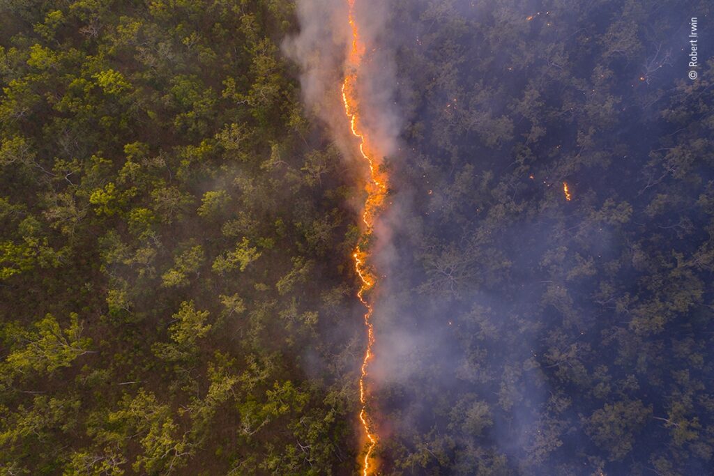 Robert Irwin Drone Photo Wins Big Award